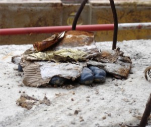 gant bleu enfoui - chantier tramway paris - prte de montreuil