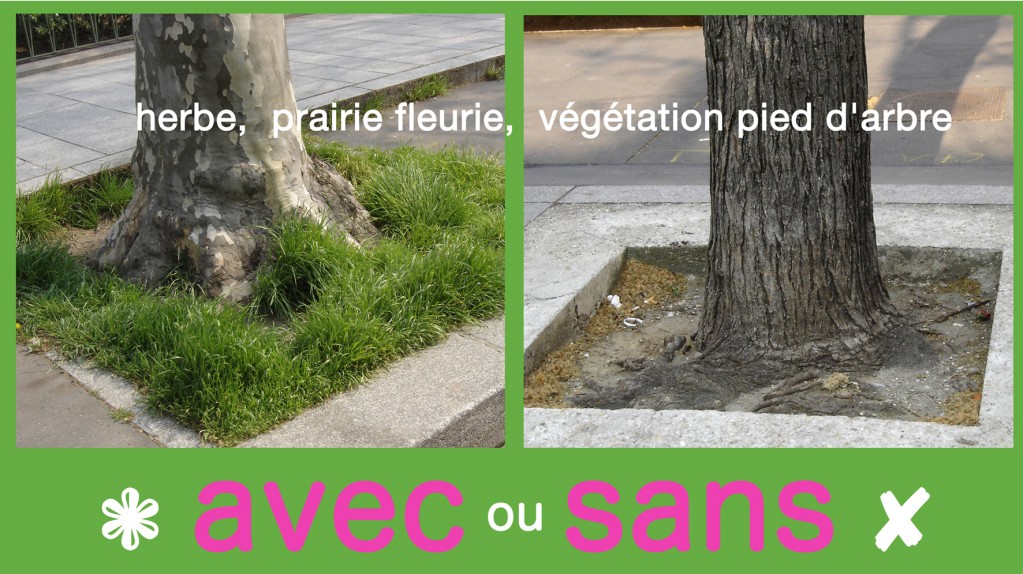 pour pieds arbres enherbés à paris, paris label 2010