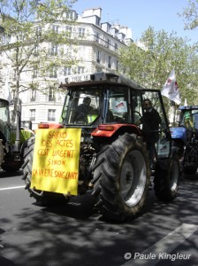 sarko urgent, manif agriculteurs à paris, photo paule kingleur