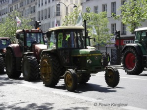 tracteur antique, photo paule kingleur