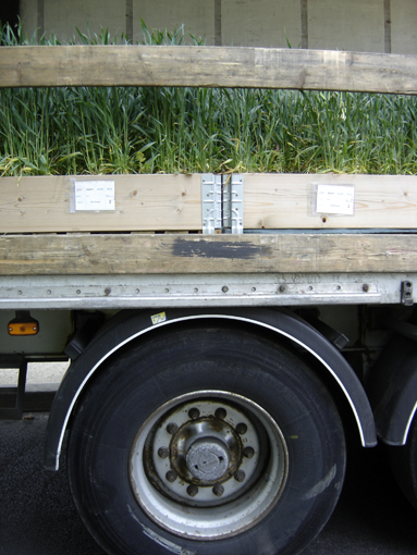camion planté avec des plantes ! journée biodiversité 2010 à paris aux champs elysées - photo paule kingleur