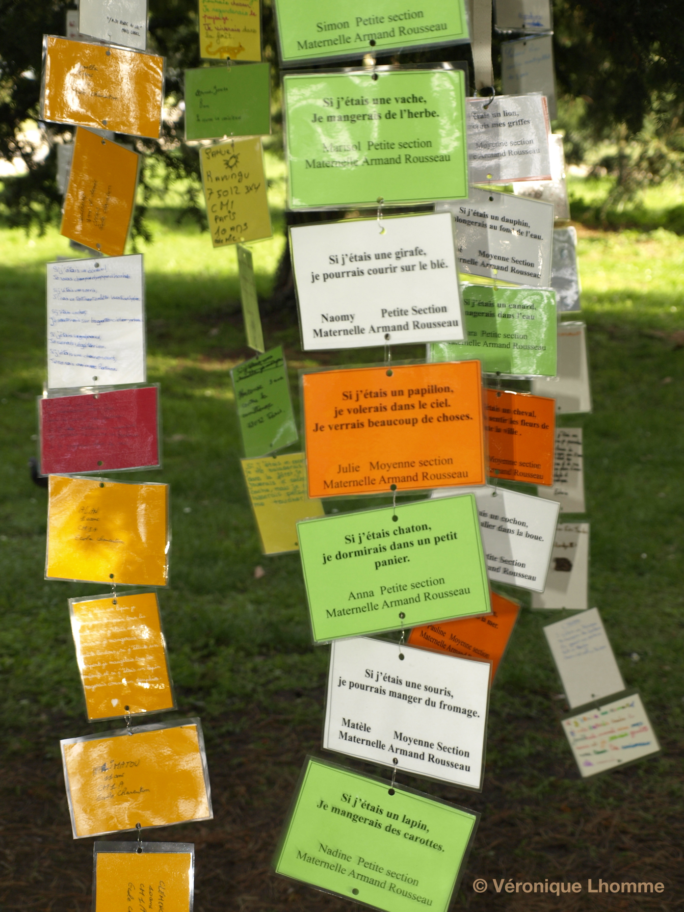 si j'étais chaton : poèmes animaliers pour la biodiversité 2010 à paris, arbre à palabres proposé par paris label au bois de vincennes