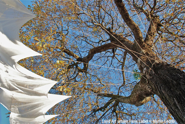 Habit d'arbre - Installation Jean-Luc Guin'Amant