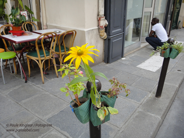 Potogreen fleuri devant l'excellent restaurant-librairie "Chimera Yakamoz" de la rue Beauregard : accueil et gastronomie au top !