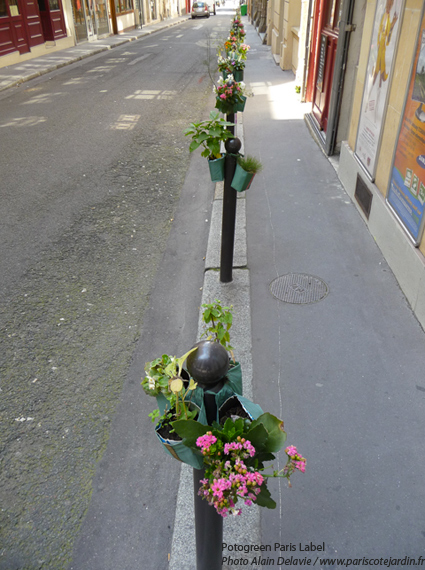Potogreen : alignement sur trottoir rue du hanovre près de la creperie traditionnelle de Christina - Potogreen® Paule Kingleur