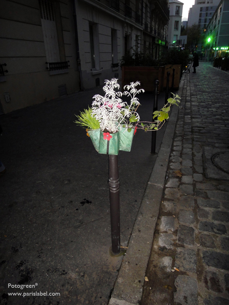Dans la rue de l'Elysée Ménilmontant : Potogreen à la nuit tombante parmi le jardin partagé hors sol . Photo Paule Kingleur pour Paris Label