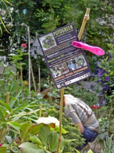 flyer Potogreen au Jardin Nomade 11e qui particpe à l'opération de végétalisation du 2e avec Paris Label et Paule Kingleur 
