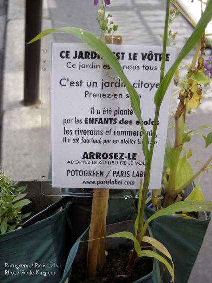 mini-jardin potogreen dans les rues du 2e - création Paule Kingleur / Paris Label 