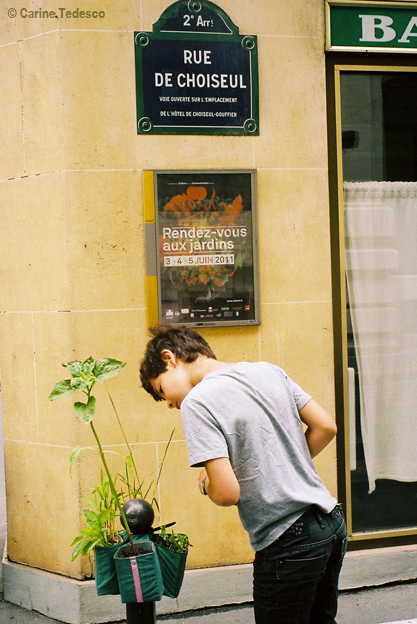 potogreen dans les quartiers du 2e à Paris - Création Paule Kingleur / Paris Label - photo carine Tedesco