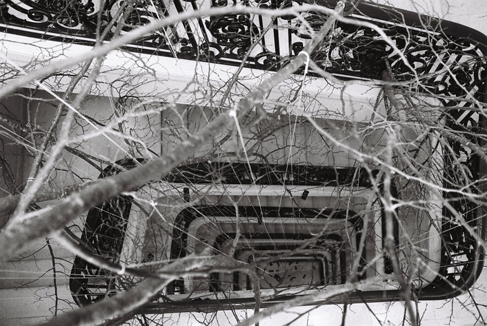 Impression de forêt de branches de tilleul dans escalier classé du siege social Louis Vuitton : installation Paule Kingleur - photos Carine Tedesco
